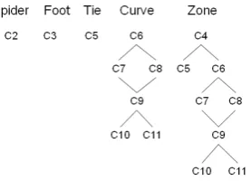 Figure 8: The DAGs for Spider Graphs.