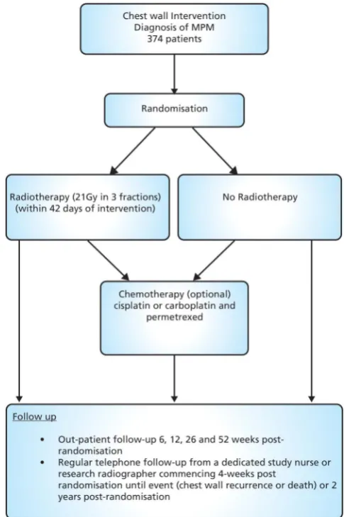 Figure 1Trial schema/flow chart. MPM, malignant pleuralmesothelioma.