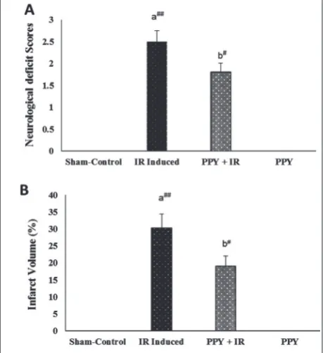 Fig. 1. Effects of PPY on the neurological deficit score (group. IR – Ischemic reperfusion insult, PPY – polysaccharides of A) and cerebral infarct volume/area (B) in experimental rats