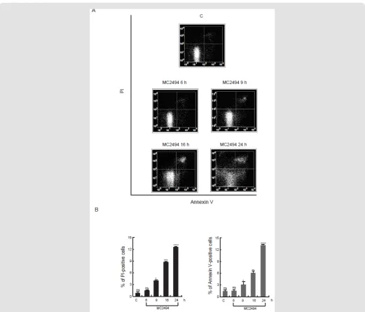 Figure 2: Study of apoptosis event. Annexin V/PI assays were performed in U937 cells with MC2494 at 50 at indicated times of induction