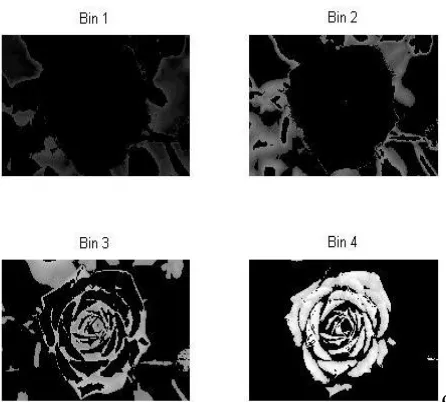 Fig. 3 Bins generated from the image in figure 2(c).  