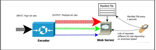 Fig. 1  ABR data flow model 