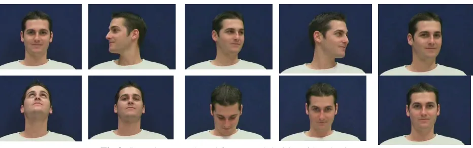 Fig 3: Some images selected from Honda/UCSD video database 