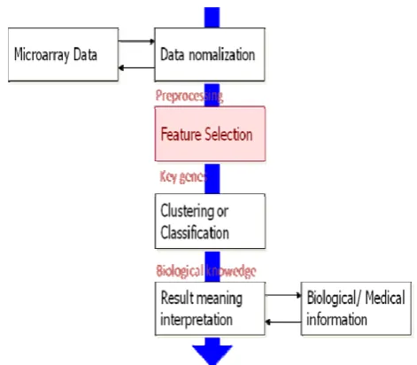 Fig.1 Microarray chip analysis 