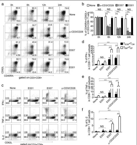 Fig. 3 E007 cells stimulate the Tpositive cells in corresponding CD8+ T cell subsets were shown