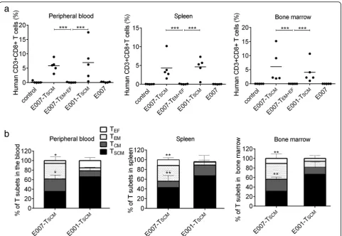 Fig. 5 The prepared TSCM cells are able to reconstitute T cell subsets in vivo. The mice were euthanized on day 35