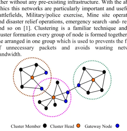 Fig.1 Example of Clustered Network 