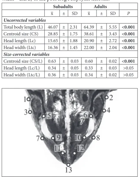 Table 1. The mean values and the standard deviations (SD) for Uncorrected variables (Total body length – L, Centroid size – CS, Head length – Lc and Head width – Ltc) and Size-corrected variables (Centroid size – CS/L, Head length – Lc/L and Head width – Ltc/L) of the pool frog Pelophylax lessonae.