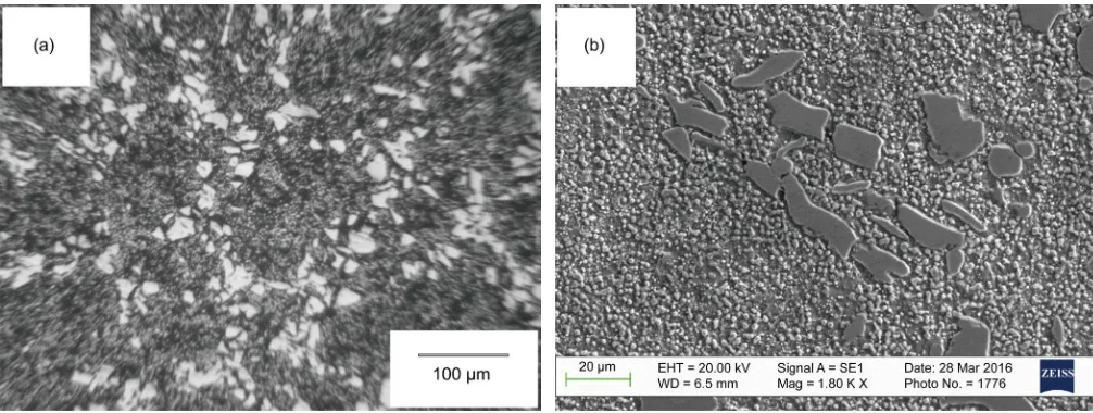 Figure 5. Forging alloy BU22А with excess phase in the form of metastable ledeburite: (a) optical microscopy (eutectic cementite); (b) electron microscope (eutectic cementite)