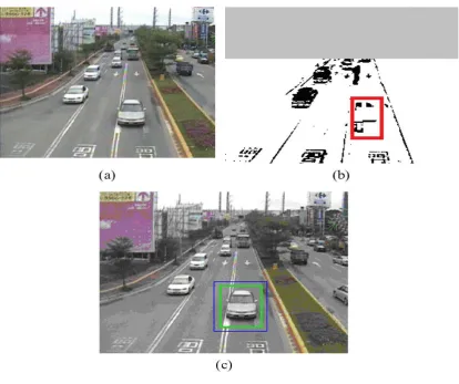 Fig. (13) Example of the error compensation procedure  (a) Original image  