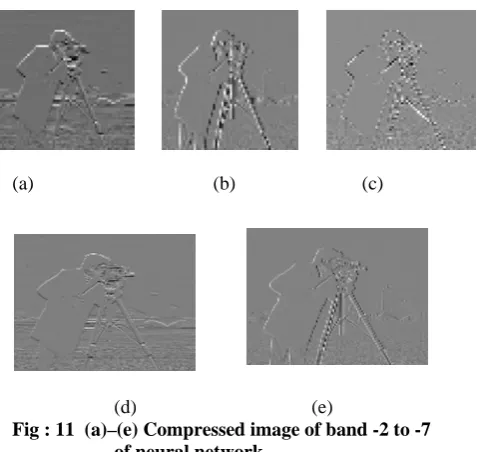 Fig 8: Camera man             Fig 9: Reconstructed  input image                                          image