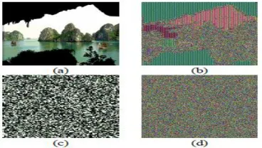 Fig.3. Results of encryption by using 10 pixels × 10 pixelsblocks. (a) Original image