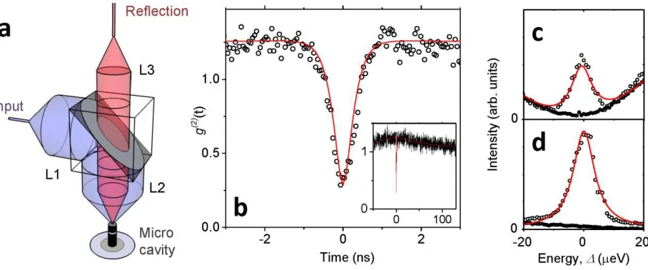 Figure 2. a, A schematic of the experimental layout. b, The auto-correlation histogram of the light 