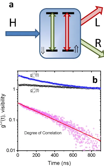 Figure 4 a, A linearly polarised input is scattered from the two degenerate transitions, each coupled 