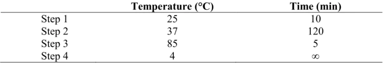 Table 3.2: Master mix setup for reverse transcription 