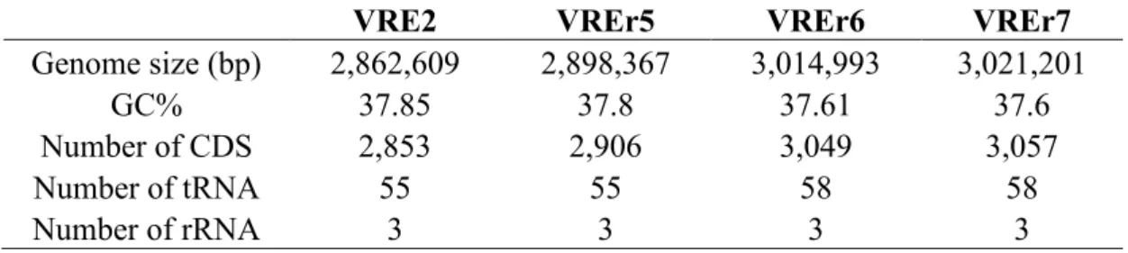 Table 4.1: General genome features of VRE fm  strain VRE2, VREr5, VREr6, and  VREr7. 