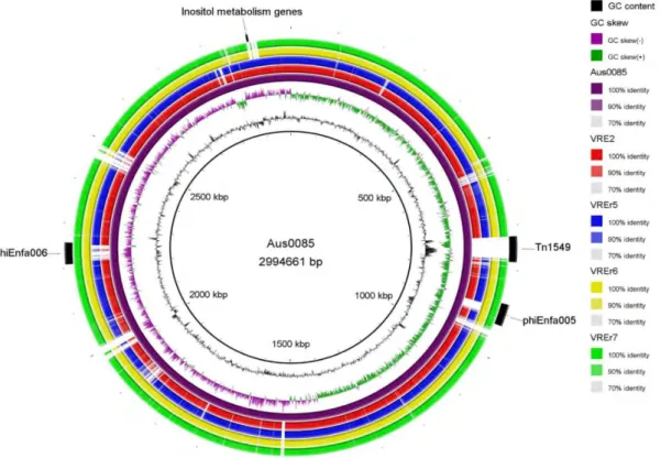 Figure 4.2: Circular genomic map and genome comparison of Aus0085, VRE2, VREr5, VREr6, and VREr7