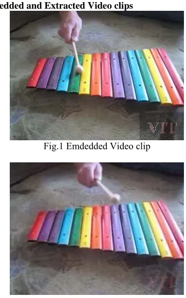 Fig.1 Emdedded Video clip 