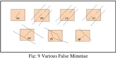 Fig: 9 Various False Minutiae Figure 9 shows various types of false minutiae. In figure ‘a’ 
