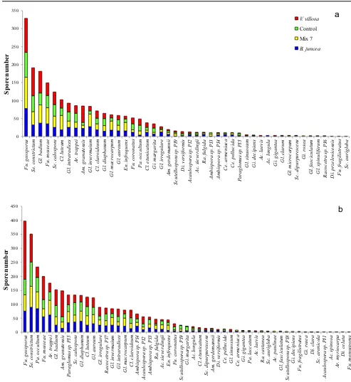 Fig. 3 Rank abundance plots for AMF species recovered a at the end of cover crop cycle and b at tomato harvest