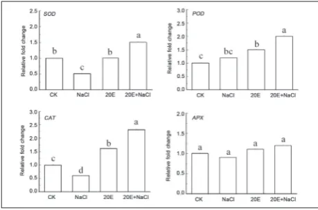Fig. 3. Effect of exogenous 20E on the activities of SOD (a), POD (b), CAT (c) and APX (d) in wheat seedlings under NaCl stress for 4 days