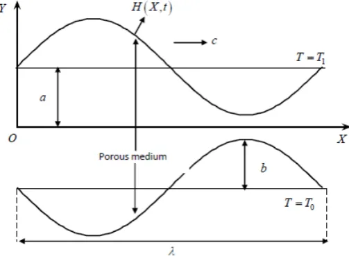Fig. 1: The Physical Model  
