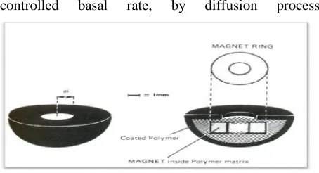 Fig 9: Cross-sectional view of a vapor pressure-activated drug delivery