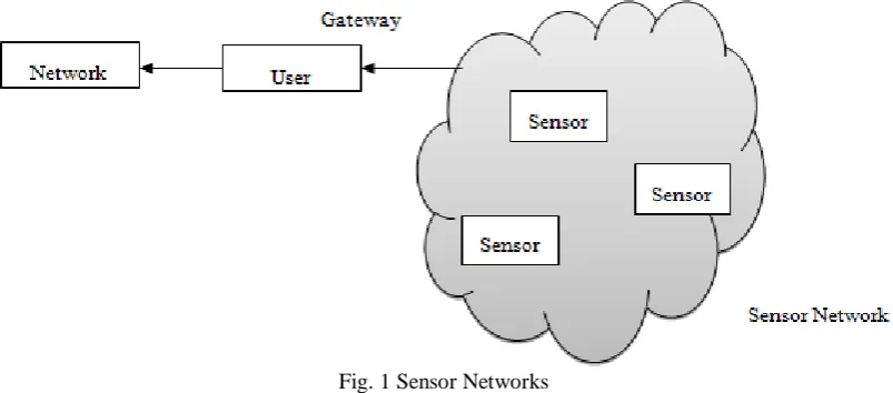 Fig. 1 Sensor Networks  