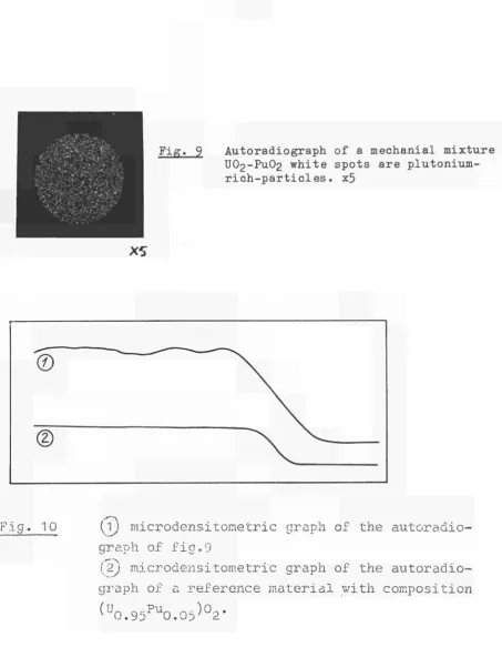 Fig. 9 Autoradiograph of a medianial mixture UO2-PUO2 white spots are plutonium-