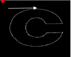 Fig 5: Projection on the input image 