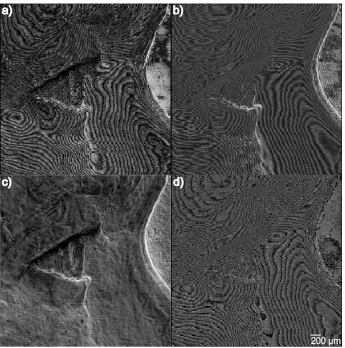 Fig. 3.Images of a small region on an Australian 5-cent coin, using thethree modulation schemes