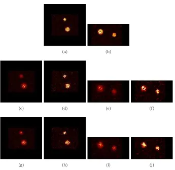 Figure 4: Transverse (on the left) and sagittal plane (on the right) of the water phantom with
