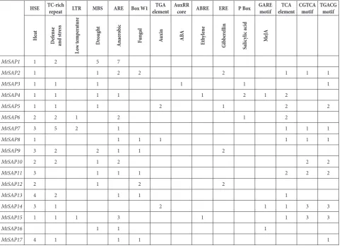 Fig. 4. Distribution of the MtSAP genes on M. truncatula chromo-somes. Segmental duplication between different chromosomes is linked with black lines