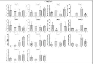 Fig. 8. qRT-PCR analysis of the expression of MtSAP genes under cold stress. The experiment was repeated three times