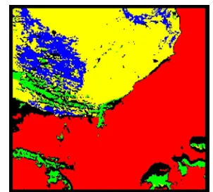 Figure 10: Dense Vegetation  