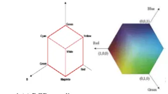 Figure 1 (a) RGB coordinates system        