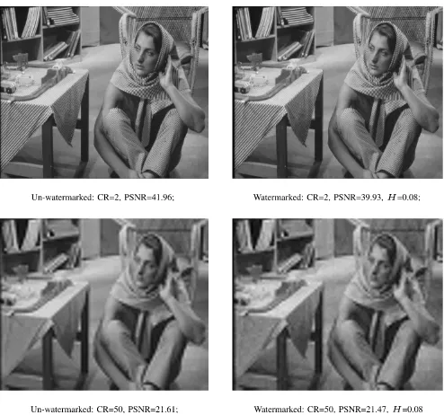 Fig. 2.Application example where distortion due to watermark embeddingis adaptively negated at various JPEG2000 compression ratio (CR) withoutcompromising robustness