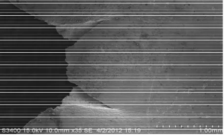 Figure 5. Shows cracked zones of the “V” notch studied for LME cracking. 