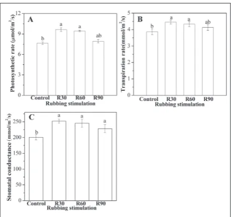 Table 1. Change in microstructure of rice sheath under rubbing stimulation on the aboveground part for 35 days.