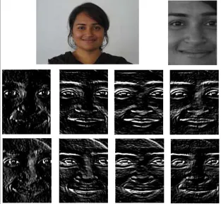 Fig. 5(a): Original Image from JAFFE database (b): M0 masked image (c): M1 masked image (d): M2 masked image (e): M3 masked image  (f): M4 masked image (f): M5 masked image (g): M6 masked image (h): M7 masked image 