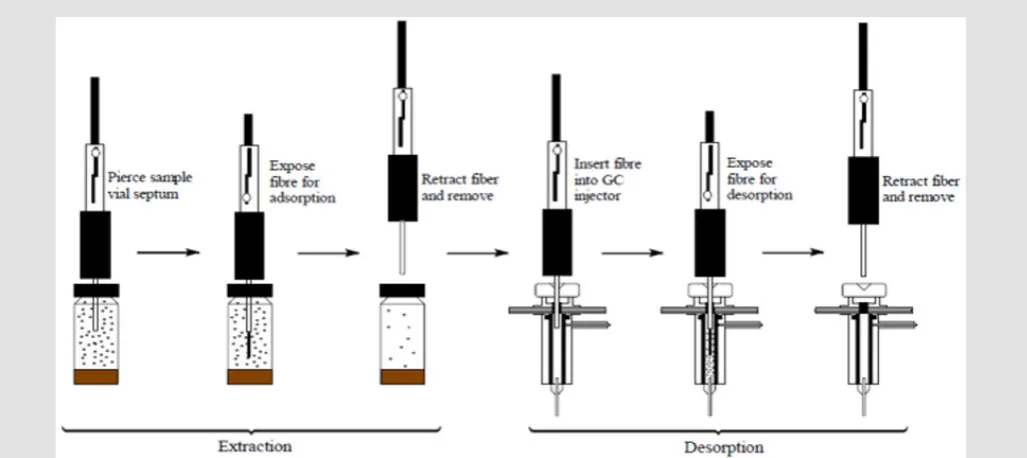 Figure 1: A schematic diagram of faecal VOC extraction and analysis using SPME coupled with GC-MS