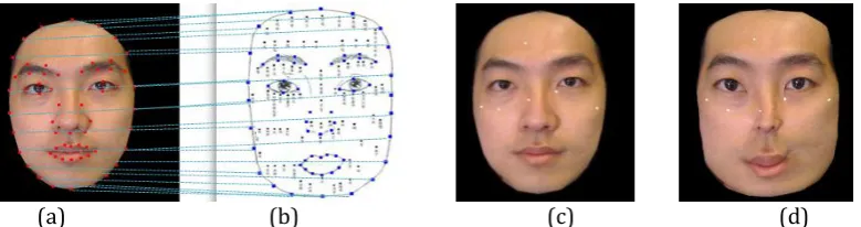 Fig. 8. Mapping the detected moles to the standard mole-face by TPS. (a) The landmarks on a detected user 