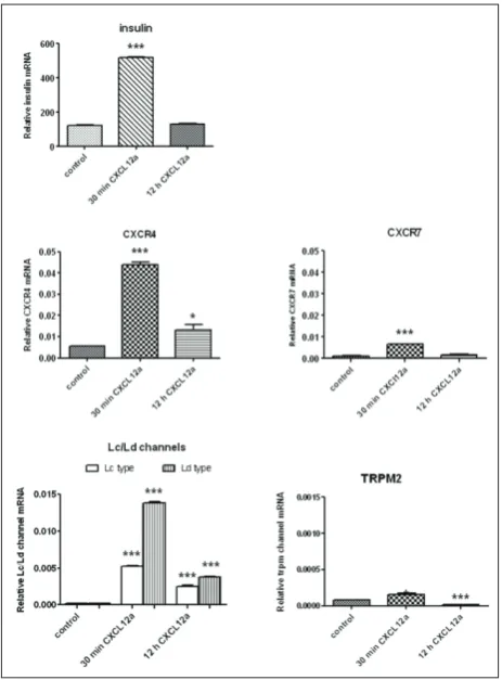 Fig. 4. CXCL12α influence on gene expression for insulin, CXCR4, CXCR7, Lc/Ld and TRPM2 Ca2+ channels
