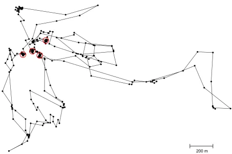 Fig. 5. Data used in wild boar example (black dots, linked in time sequence). The open red circles indicate nest locations; see text for details.