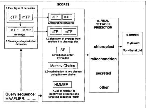 Fig.  1  An  schematic  overview of  the PredSL algorithm. 