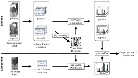Fig. 1. Pedestrian detection process of BoF. 