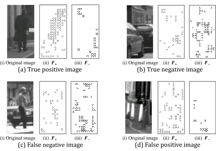Fig. 6. Visualization of selected feature points. 