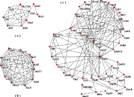 Fig. 9. Three examples of functional modules in clusters:(a) is a DNA chromatin module with 9 proteins; (b) is  mitotic cell cycle control, protein modification and ATP binding; and (c) is a large gene transcription module a proteins functional clique cons