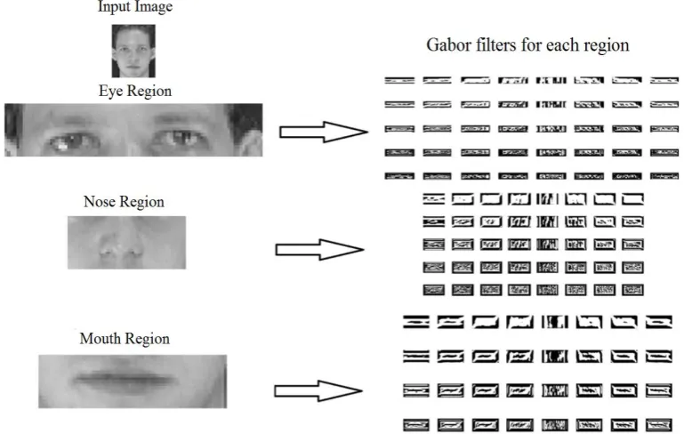 Fig. 2. Three region extraction.