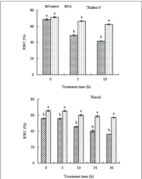 Fig. 2. Influence of exogenous SA on peach anther RWC under freezing stress. Values are means±standard error